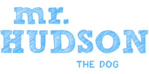 Therapy Dog Mr. Hudson --St Louis Missouri